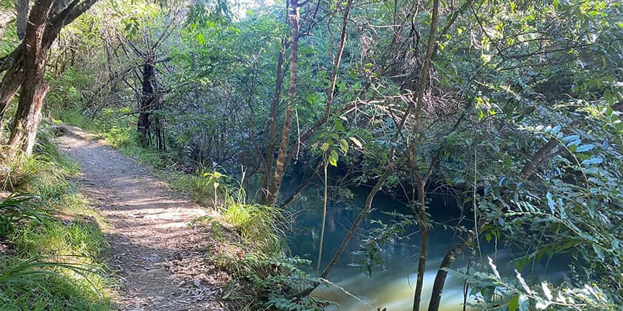 The Henderson Shuffle