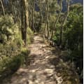 Biv Dunedin Trail Runners logo