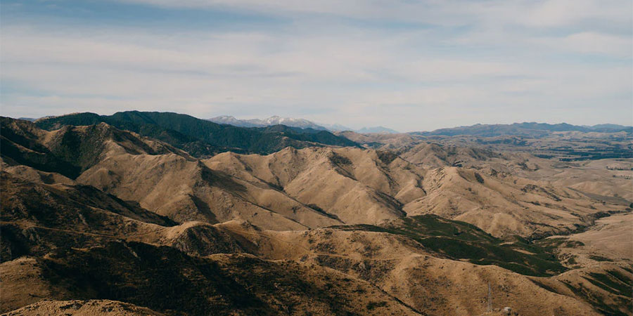Upcoming NZ Running Events: Marathons, Ultramarathons, Trails, and Fun Runs (2025–2026)