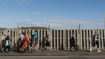 Wellington Runners & Walkers
