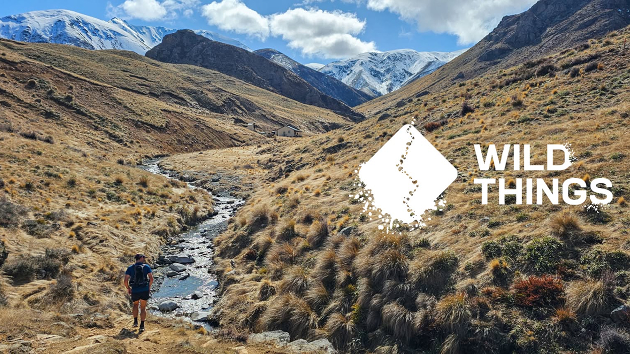 Wild Things Trail Running Club
