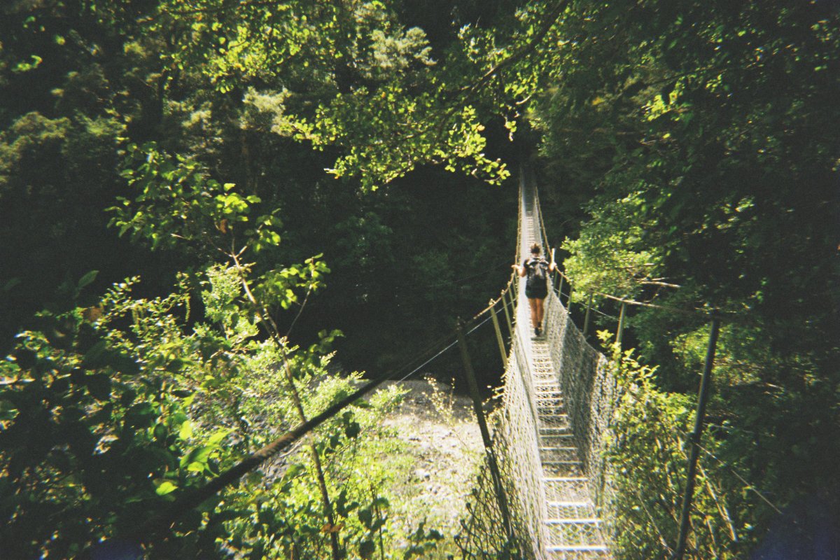 Wilderness Running and Endurance Collective